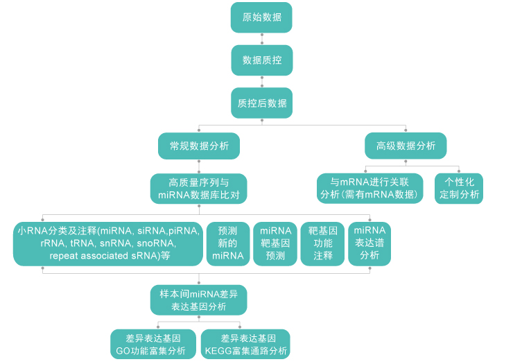小RNA测序(Small RNA-Seq)