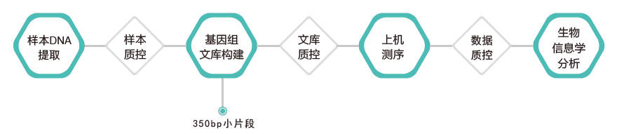 全基因组重测序-技术路线-阅微基因