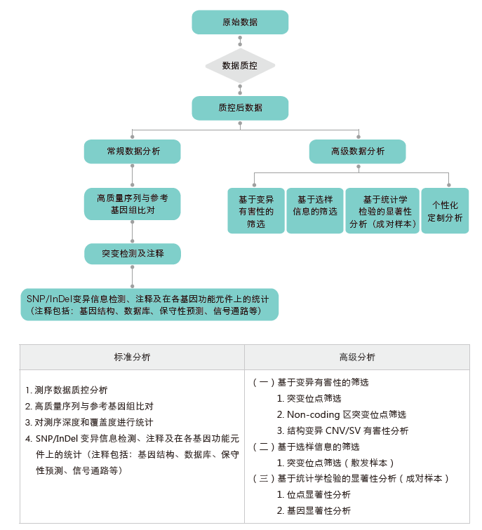 目标区域靶向捕获测序-生信分析流程-疾病基因组学分析-阅微基因 目标区域靶向捕获测序-生信分析流程-疾病基因组学分析-阅微基因