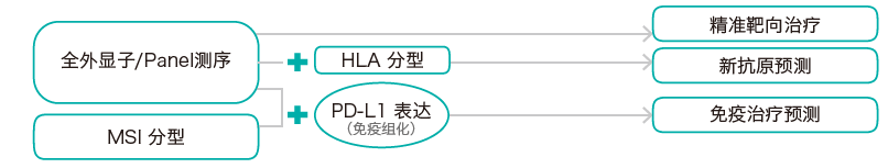 目标区域靶向捕获测序-肿瘤突变分析检测方法-阅微基因