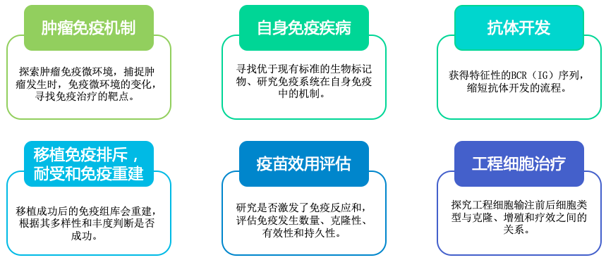 10x单细胞免疫组库V(D)J测序-应用领域-阅微基因