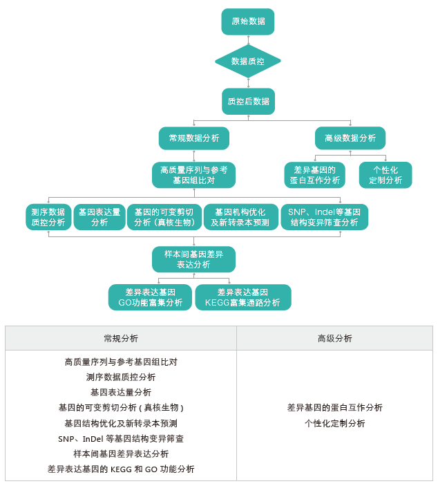 转录组测序-生信分析流程（有参）-阅微基因