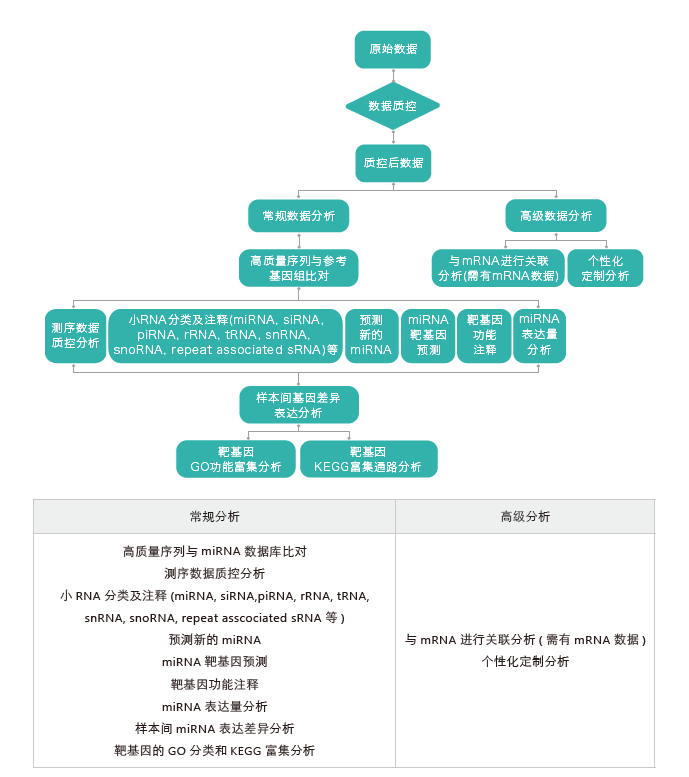 小RNA(small RNA)测序-生信分析流程-阅微基因 小RNA(small RNA)测序-生信分析流程-阅微基因