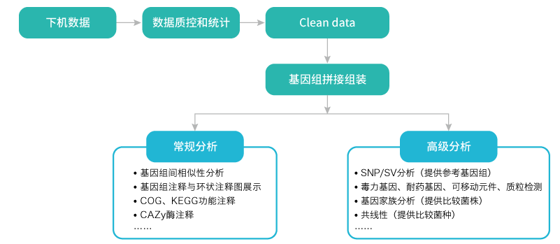 微生物基因组重测序-分析-阅微基因