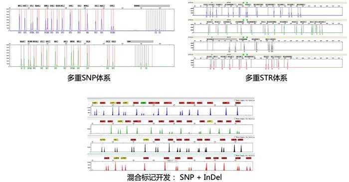 阅微基因CE平台应用