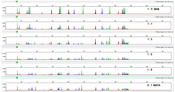 大学严江伟团队联合验证19X-STR分型体系