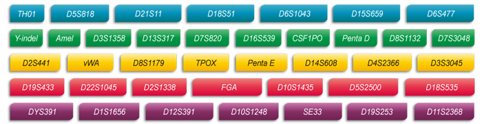 阅微基因Microreader™ 36A ID System位点