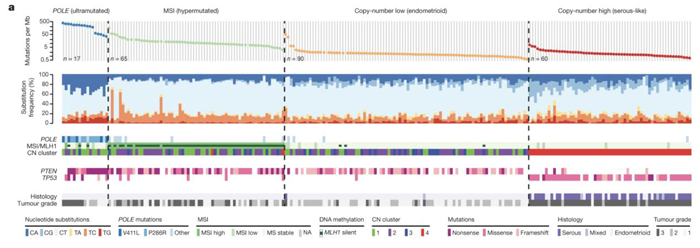 子宫内膜癌突变图谱_子宫内膜癌的分子分型_阅微基因 子宫内膜癌突变图谱_子宫内膜癌的分子分型_阅微基因