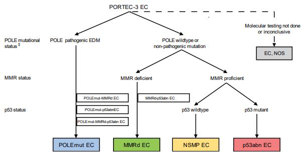 Transprotec的分型顺序_子宫内膜癌的分子分型_阅微基因 Transprotec的分型顺序_子宫内膜癌的分子分型_阅微基因