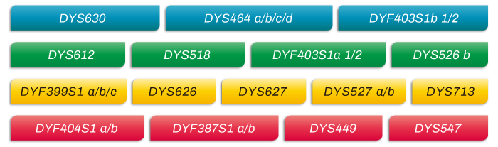 MicroreaderTM-RM-Y-ID-System位点信息_家系排查中如何运用好RM Y-STR?_阅微基因